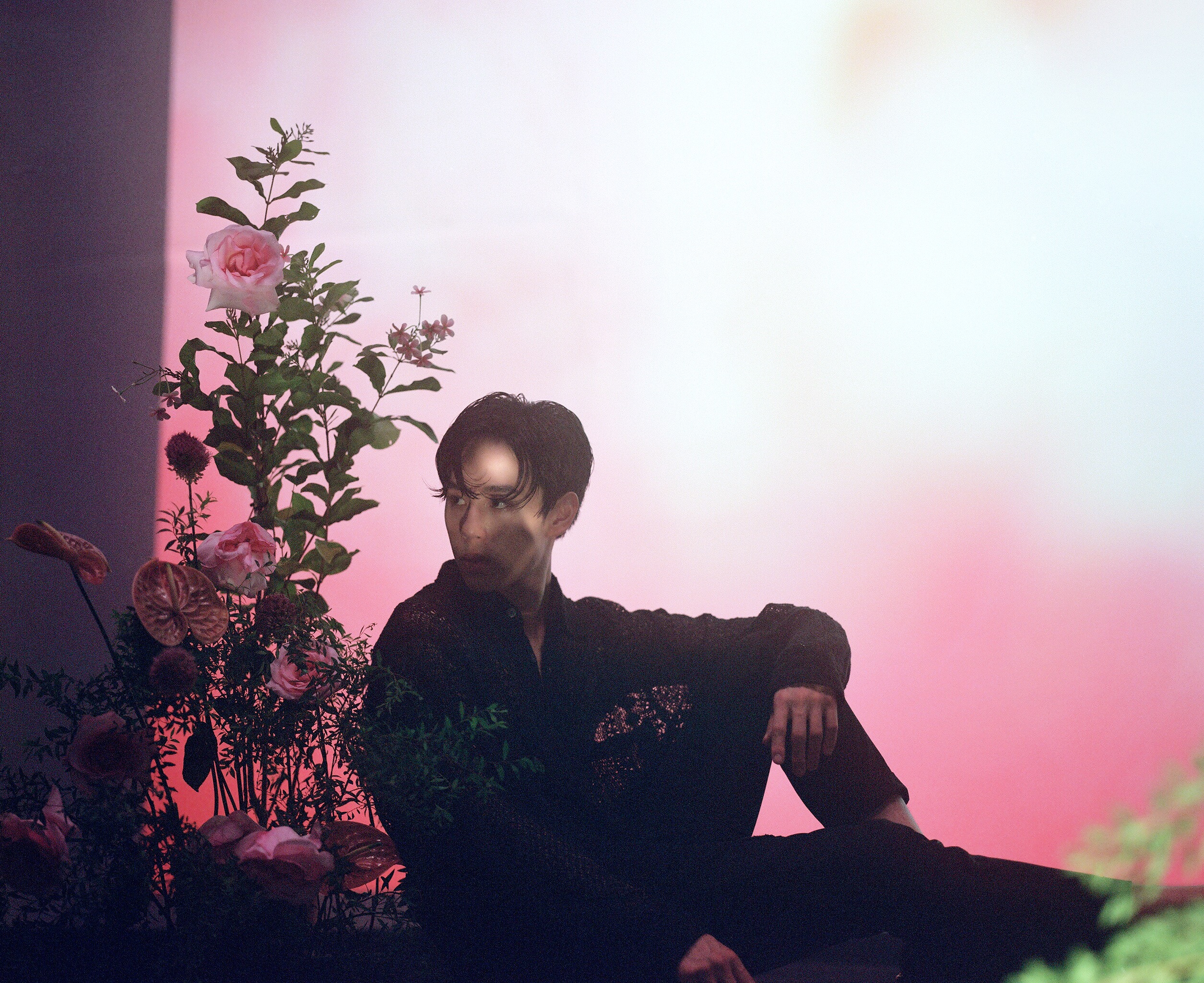 MAI孫麥傑在最新單曲MV中，運用大量美麗玫瑰營造瑰麗韻律感。（圖／誠葳廣告提供）