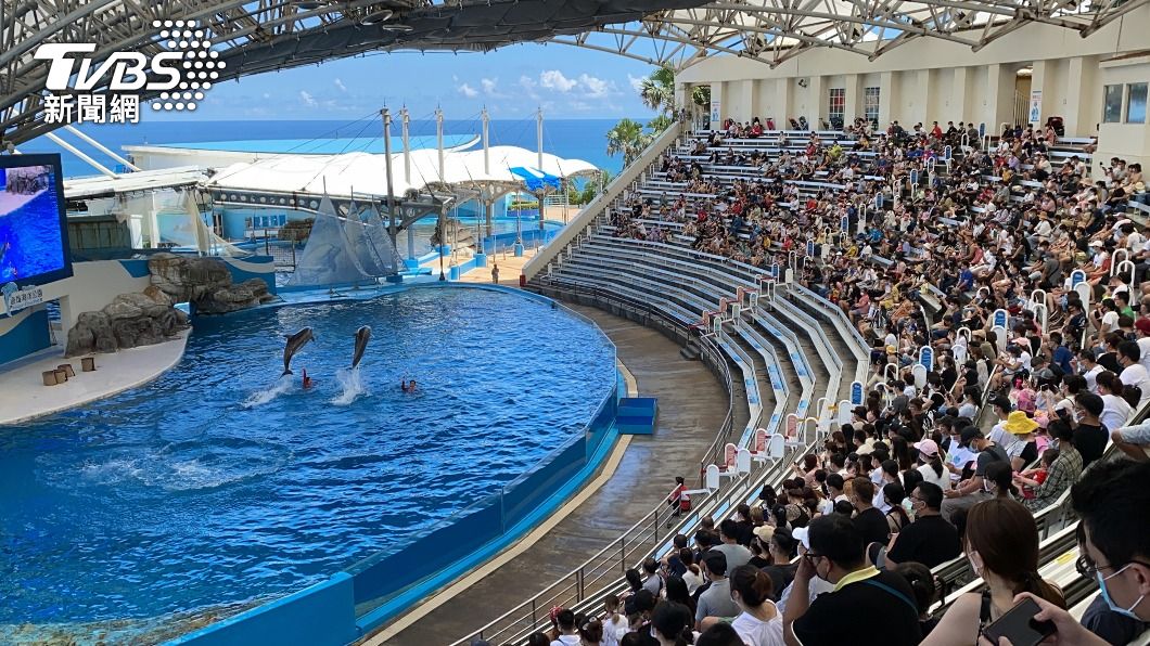 遠雄海洋公園連假首日上午入園人數超過2千人。(圖/中央社)