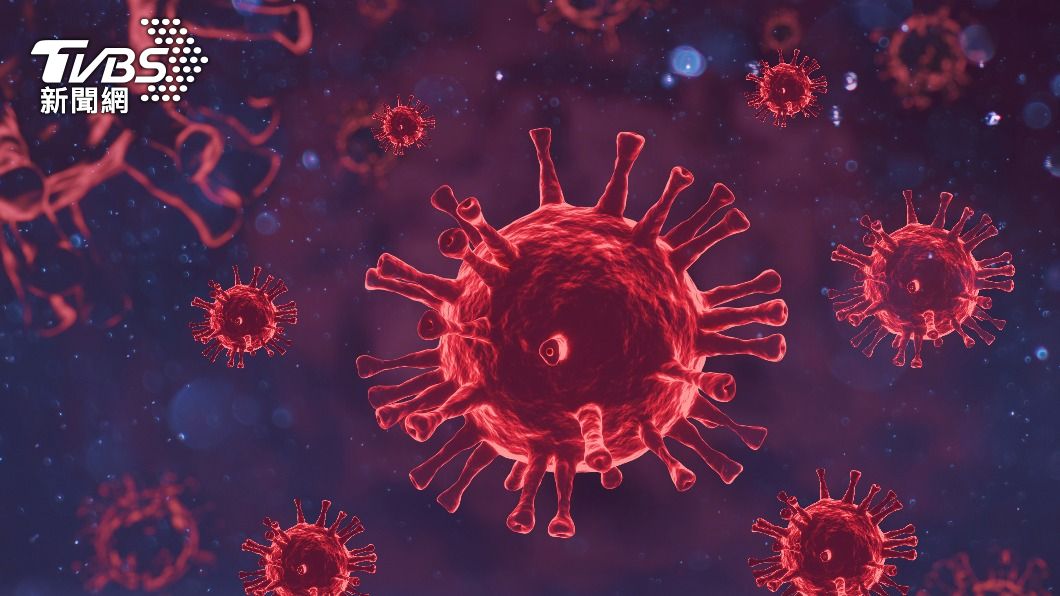 此研究大膽假設新冠病毒源於蝙蝠,且並存在於自然界。(示意圖/shutterstock達志影像)