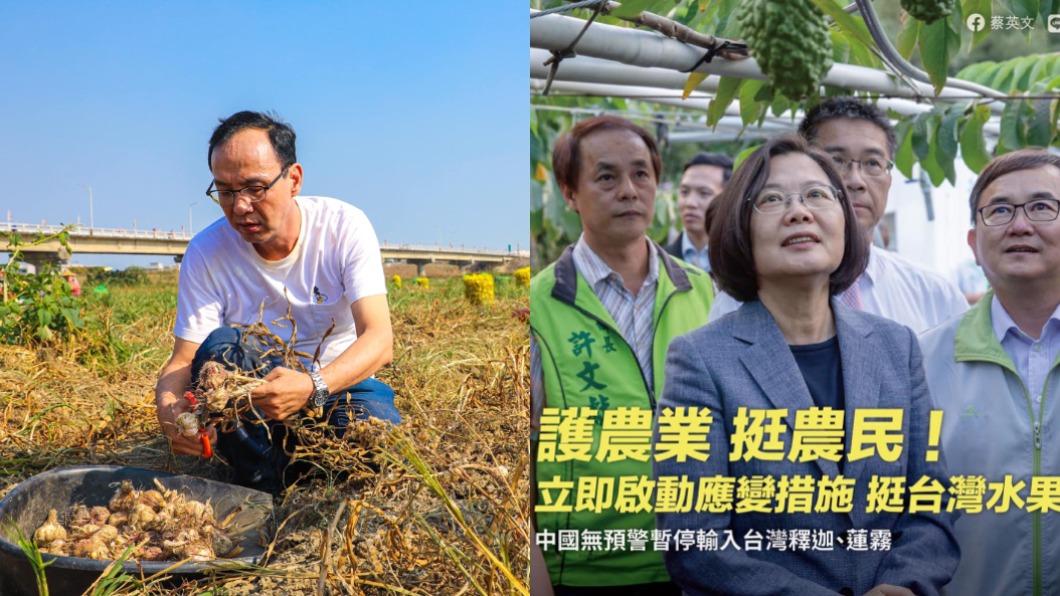 大陸封殺釋迦、蓮霧 朱立倫轟蔡英文:害慘台灣農民