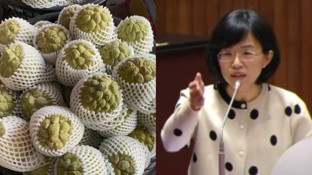 譴責陸禁台水果!蘇巧慧:不該把雞蛋放有針籃子裡