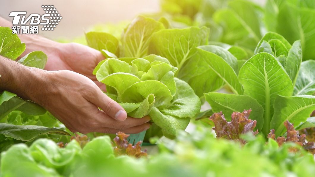 有研究團隊正在進行「蔬菜疫苗」的研發。（示意圖／shutterstock達志影像）