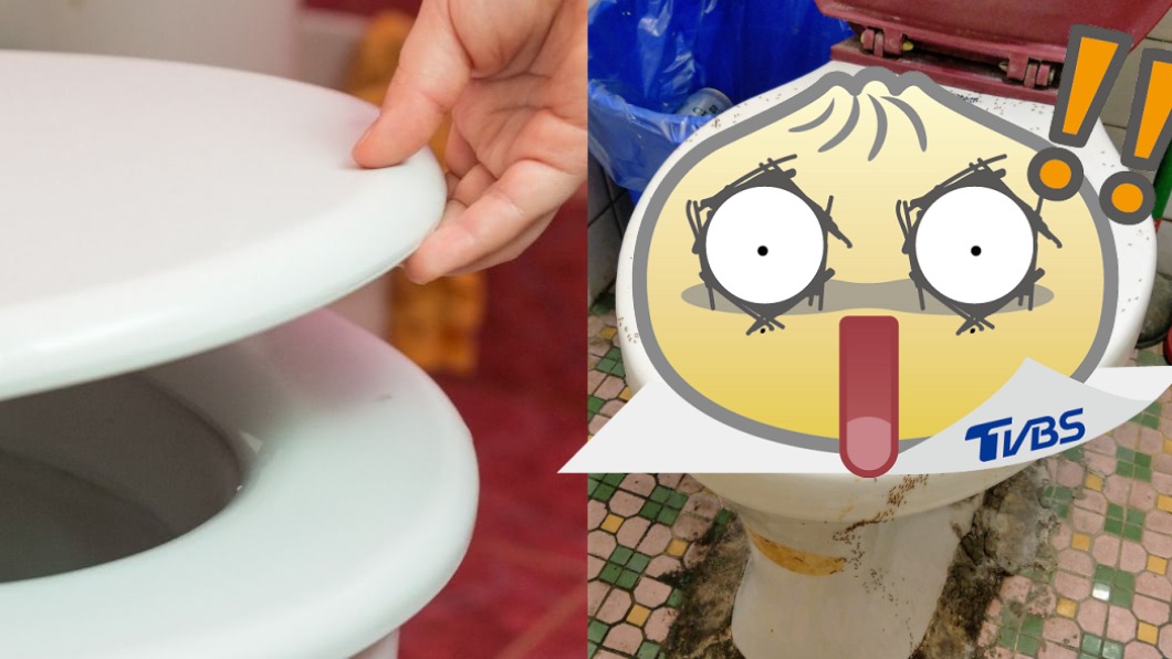 密集恐懼慎入!馬桶噁鑽大量螞蟻 全場驚呼:快去醫院