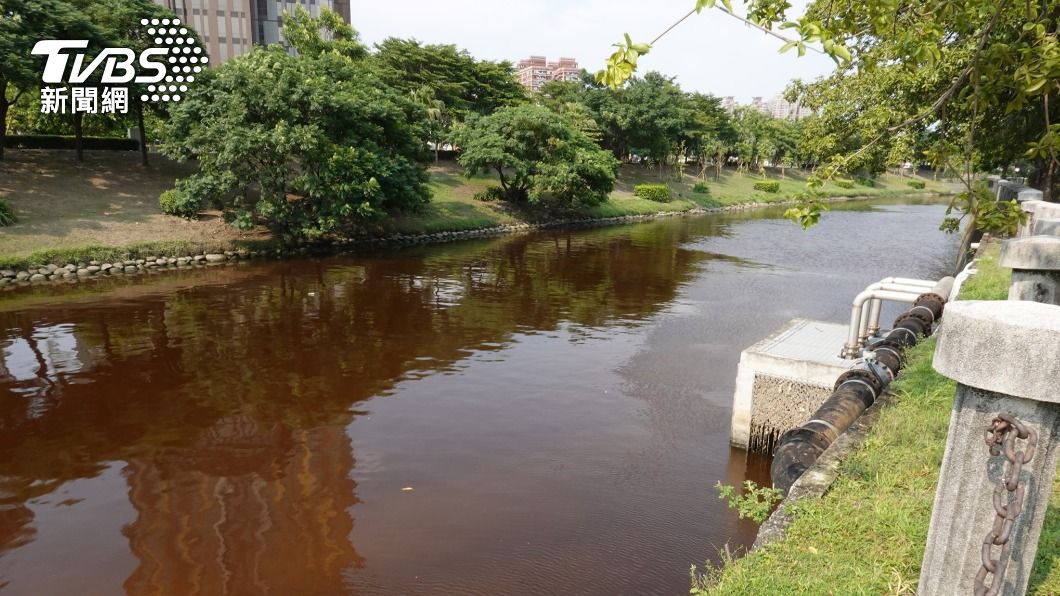 一天內飄2浮屍!隔天愛河水竟「紅如鐵鏽」 環保局揪因