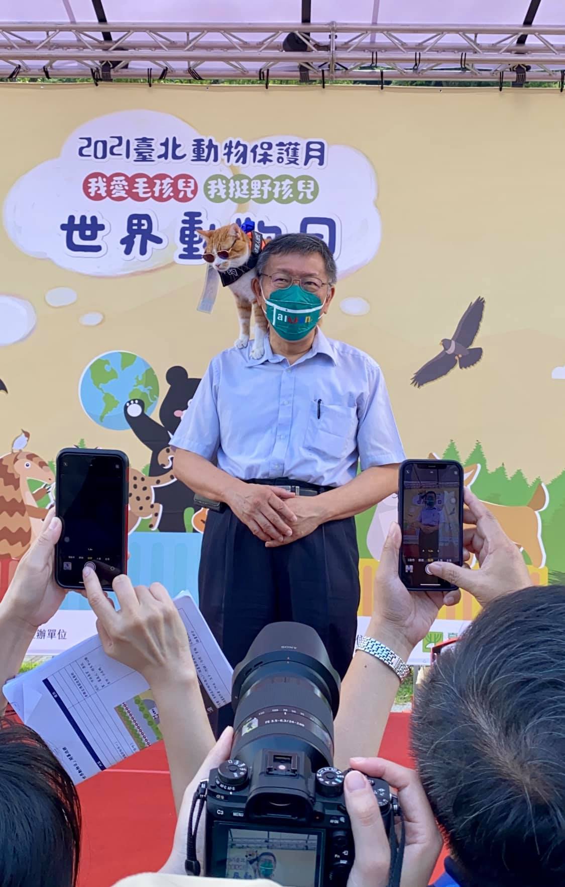 阿蹼仔成為現場焦點。(圖/翻攝自貓界小鮮肉-阿蹼仔臉書)
