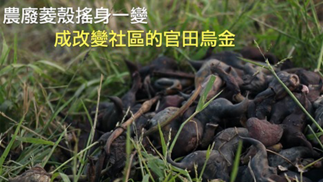 農廢再利用 「菱殼」變烏金