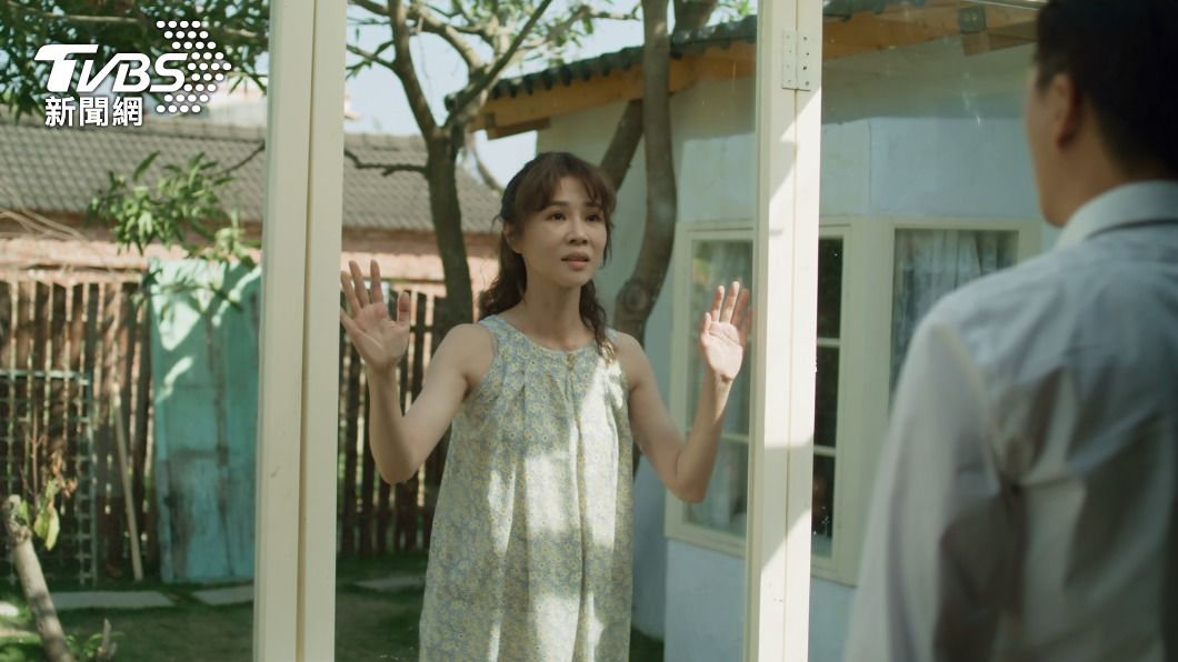 陳嘉玲告白挽回蔡永森。(圖/華視、CATCHPLAY提供)