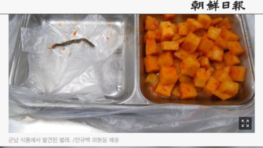 南韓軍中伙食常見頭髮、昆蟲(圖/翻攝朝鮮日報)