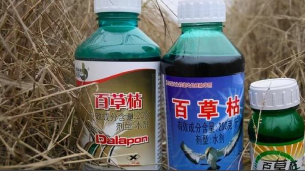 少女和同學吵架 怒灌「百草枯」還PO照:我喝農藥了