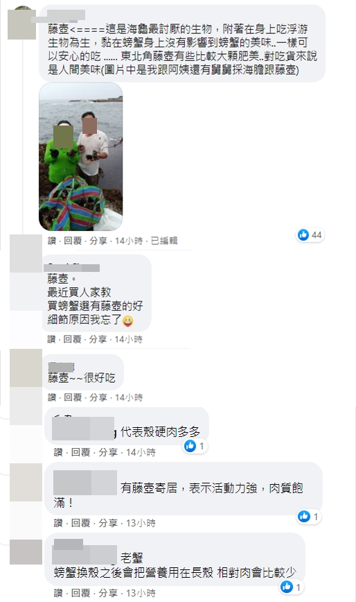內行人紛紛大讚藤壺好吃。（圖／翻攝自爆系知識家臉書）