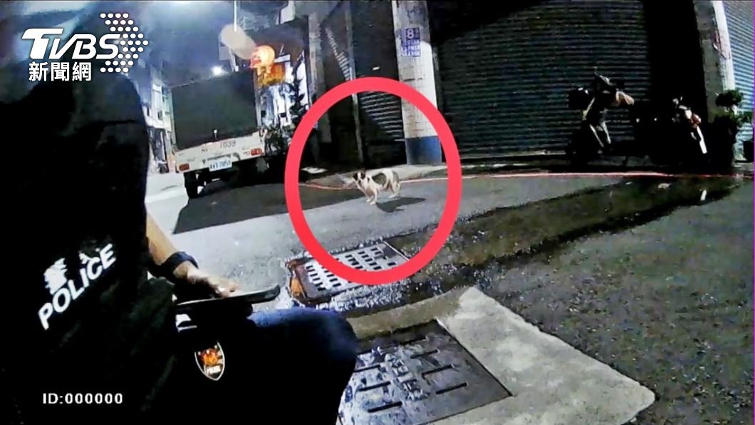 通緝犯騎車違規遭攔,竟牽拖愛犬生病急需就醫。(圖/警方提供)