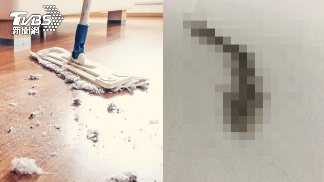 半年沒回租屋處 男大生一掃驚「床底藏乾屍」