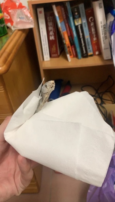原PO掃出垃圾魚乾屍。（圖／翻攝自Dcard）