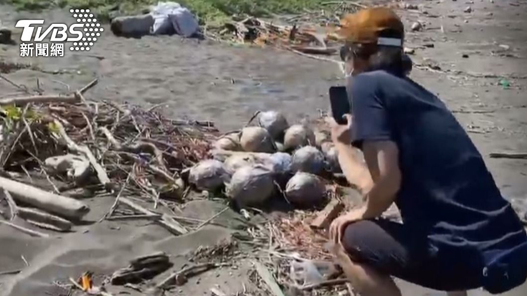 西子灣驚見數顆「未爆彈」　原來是國慶煙火架遭大浪拍落海