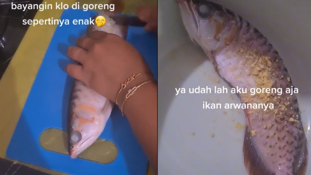 印尼人妻將名貴紅龍魚下鍋煮食。(圖/翻攝自TikTok miakurniawan01)