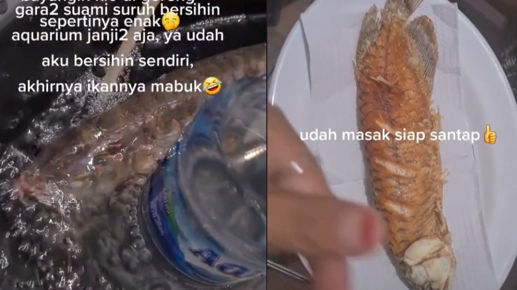 懶惰夫不洗魚缸 人妻一怒下鍋「油炸紅龍魚」來吃
