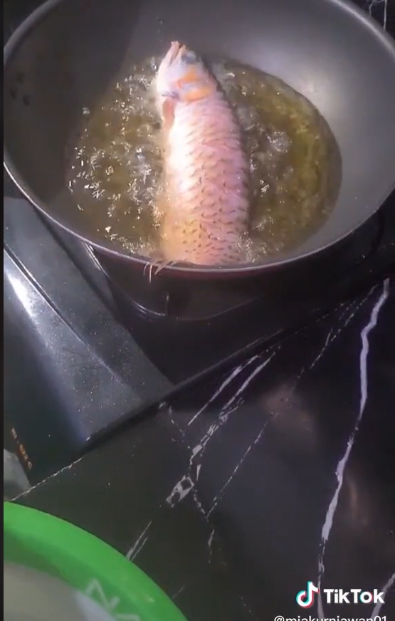 印尼人妻將名貴紅龍魚下鍋煮食。(圖/翻攝自TikTok miakurniawan01)