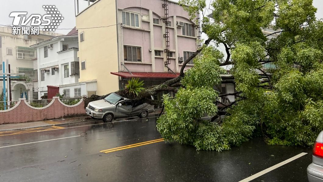 （圖／中央社）