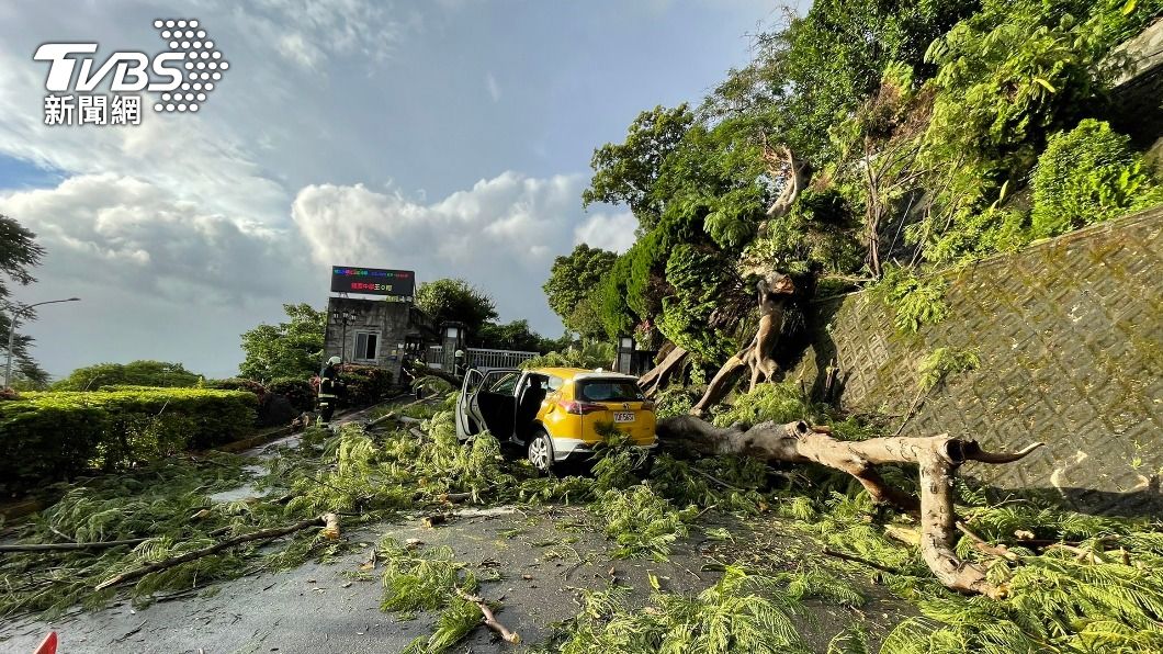 才剛放老師下車！陽明山路樹倒壓毀計程車、司機輕傷送醫　