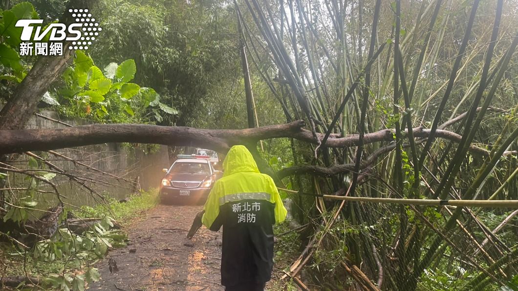 颱風圓規挾風雨 汐止路樹倒塌、區公所前帳篷被吹翻