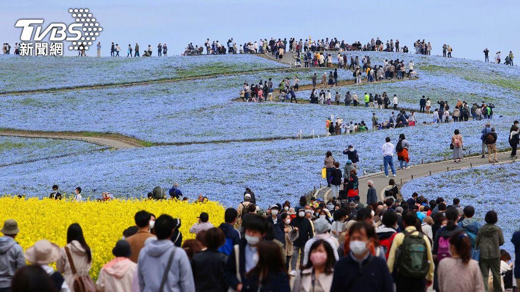 茨城縣最知名觀光景點「國營常陸海濱公園」。（圖／達志影像美聯社）