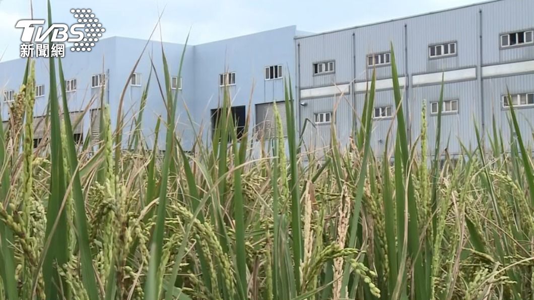 農地違章工廠納管大限將至 蘇揆:政府沒有要為難他們