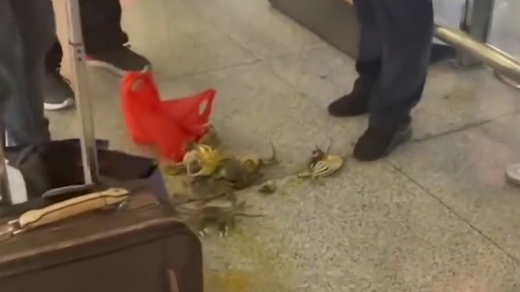 地上滿是活蟹汁液。(圖/翻攝自微博)