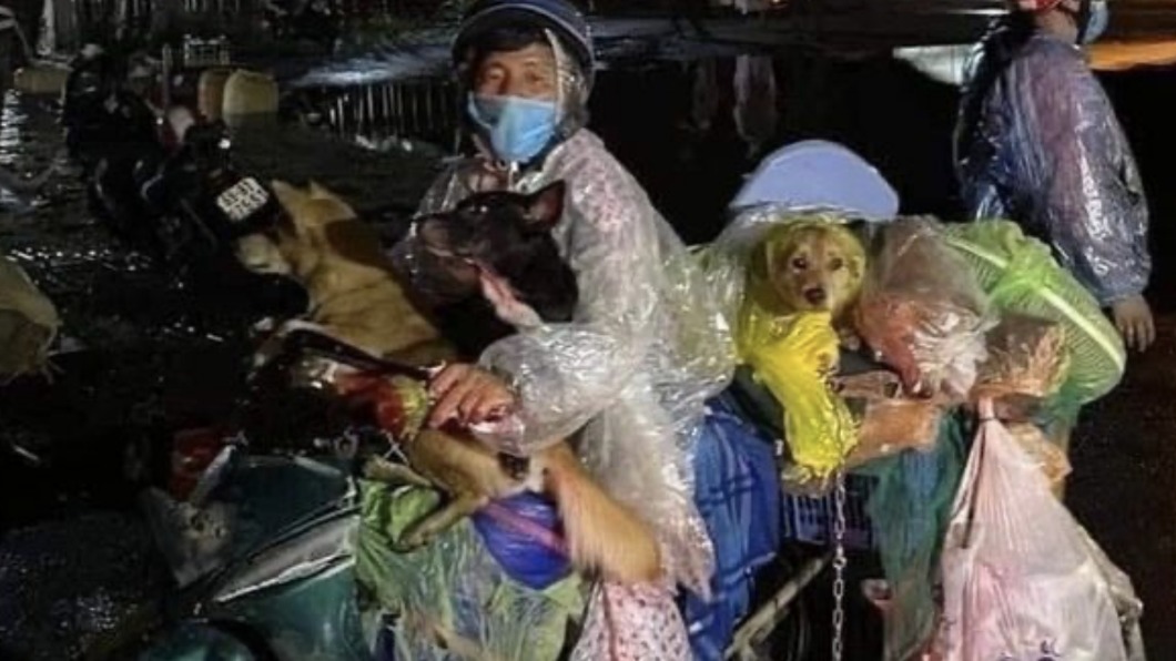 夫妻帶上毛小孩騎乘280公里返鄉。(圖/翻攝自推特)