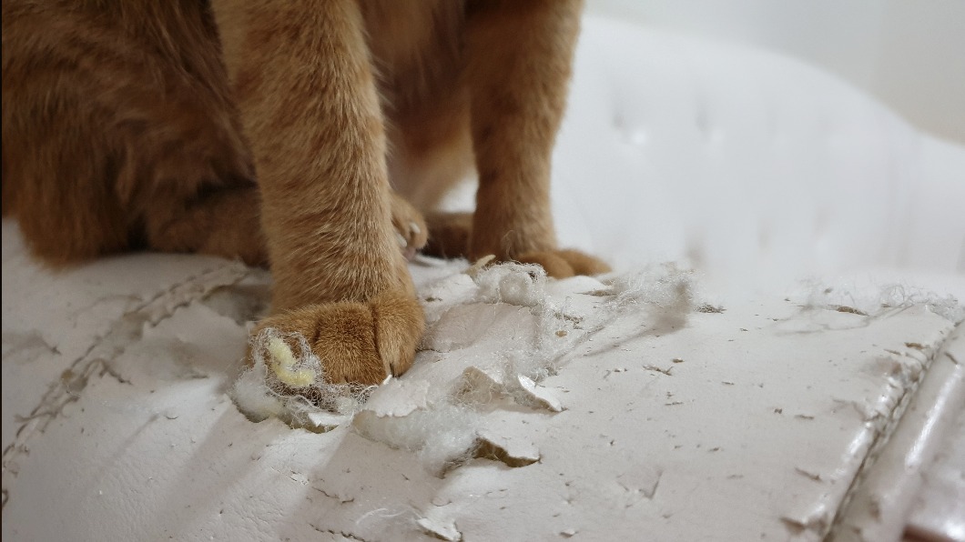 家具全被破壞無法使用。(示意圖/shutterstock達志影像)