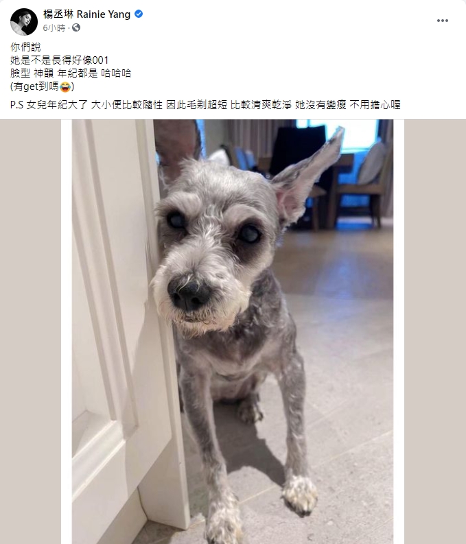 楊丞琳發現Yumi撞臉001號爺爺。(圖/翻攝自楊丞琳臉書)