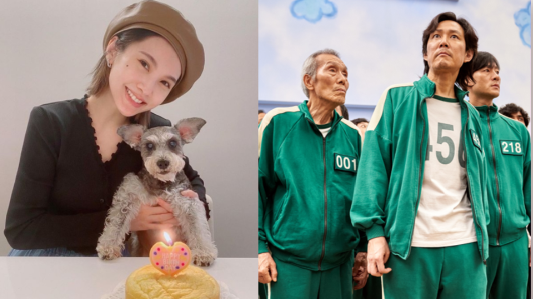 真的超像！楊丞琳愛犬撞臉《魷魚》的他　網笑：回不去了