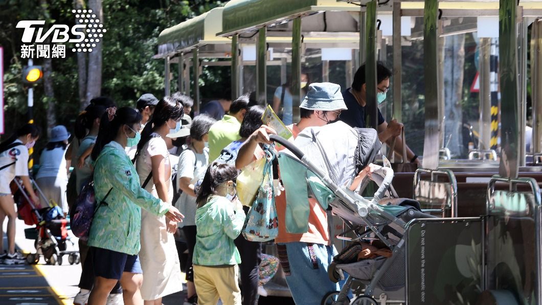 北市動物園人潮回升 這些「NG行為」遊客別做