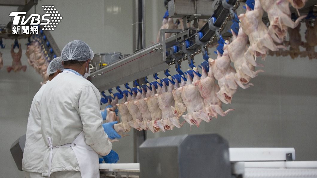 日本雞肉六成仰賴進口,在疫情下成為受災戶。(示意圖/Shutterstock)