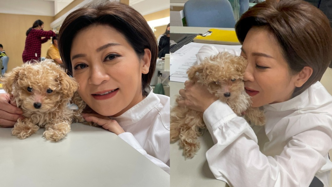王彩樺帶「兒子」片場探班　樂喊：一見他就融化