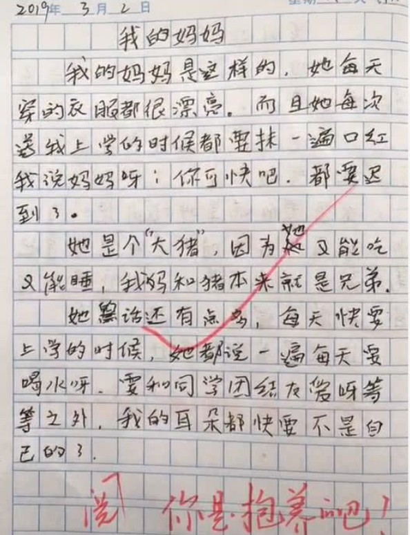 網路上流傳一篇以「我的媽媽」為題的作文引發網友熱烈討論。（圖／翻攝自搜狐新聞）