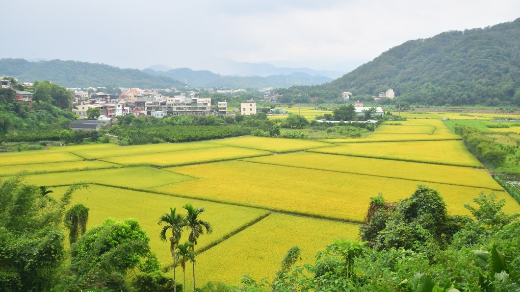 「地方創生券」第二波獎號出爐!8組身分證末3碼快來對