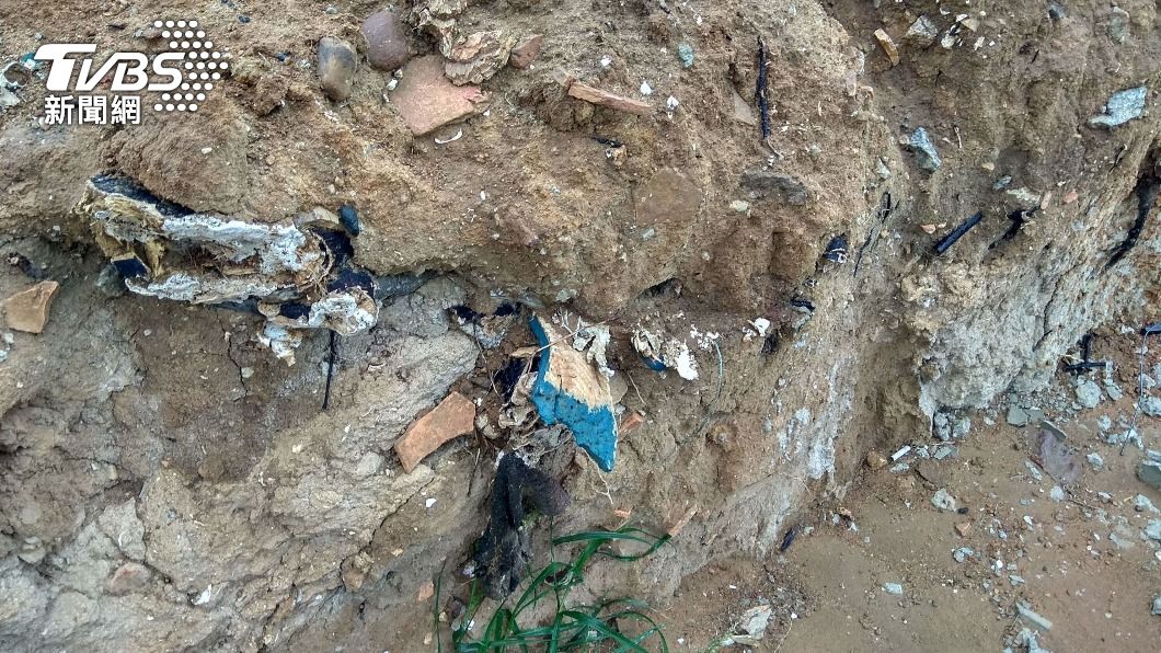 拓寬工程路段發現疑貝塚遺址，在地層1米內顯見貝殼、瓦陶片。（圖／中央社）
