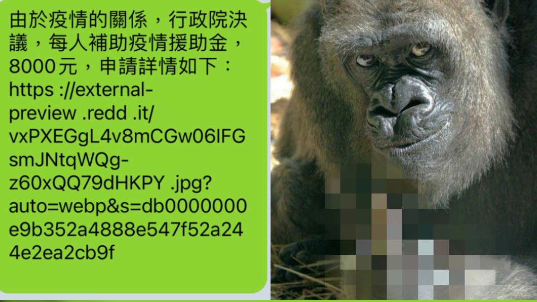 疫情補助假訊息!點開竟是「猩猩比中指」 男大生下場出爐