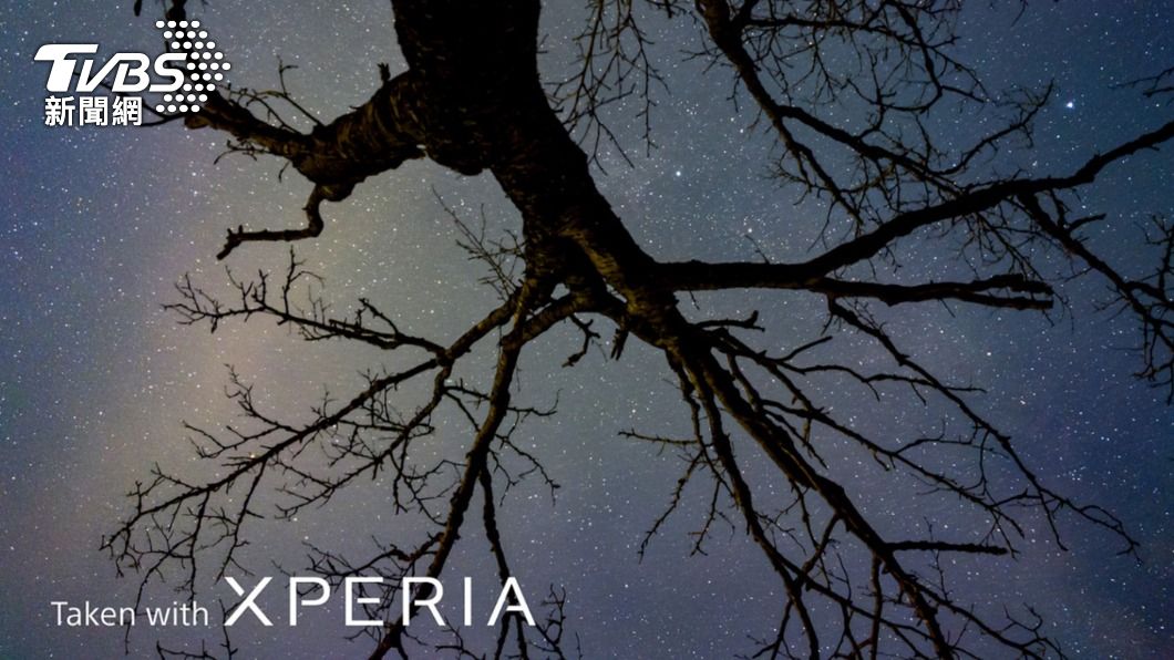Xperia PRO-I 夜拍實拍照。(圖/Sony提供)
