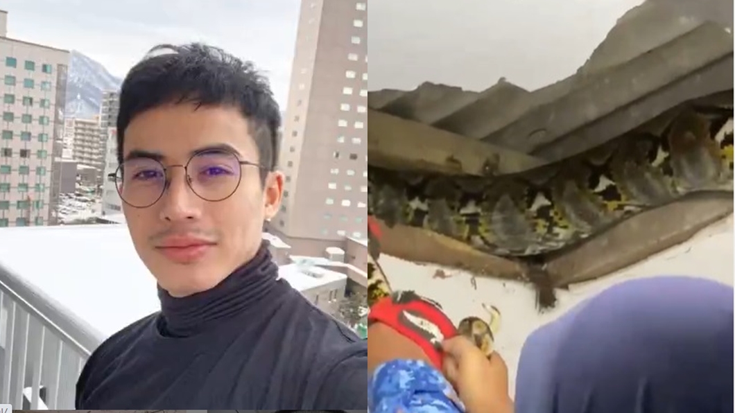 大馬男星祖伊拉曼家中出現蟒蛇。(圖/翻攝自Zoey Rahman IG)