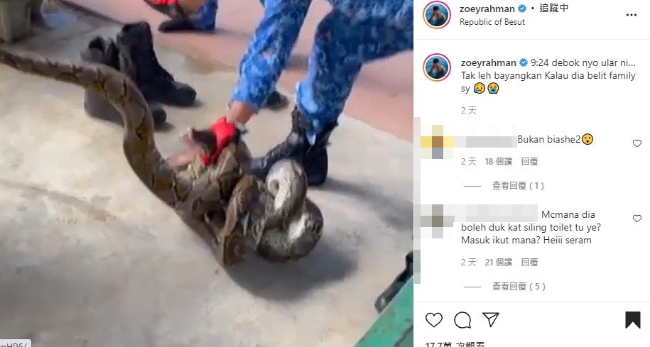 大馬男星祖伊拉曼家中出現蟒蛇。(圖/翻攝自Zoey Rahman IG)