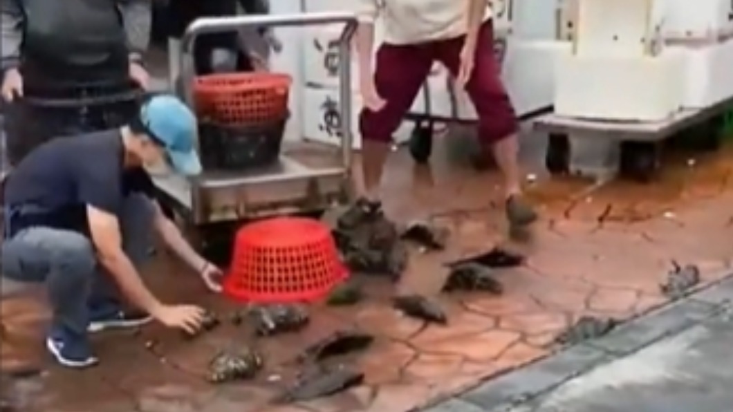 一旁還有大量活魚準備被放生。(圖/翻攝自爆料公社)