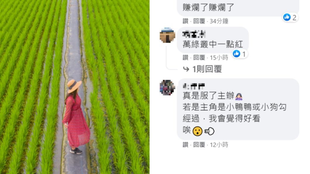 「紅衣大女孩」奪雲林空拍賽銀獎 網看照片...炸鍋了