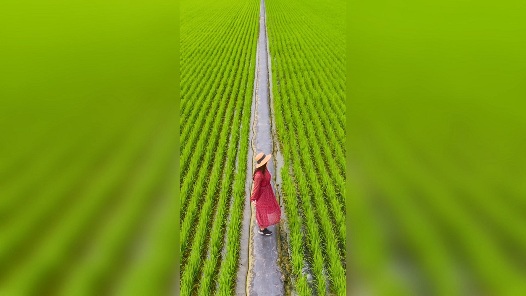 圖／翻攝自2021我愛雲林之美