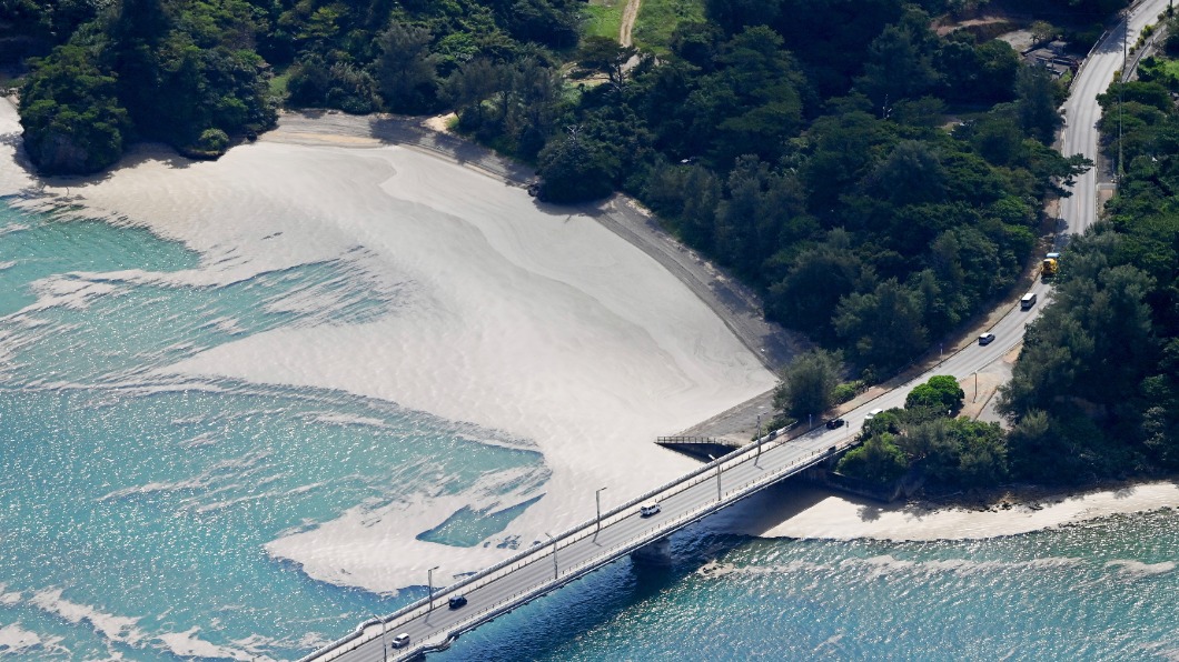 沖繩魚群大量暴斃　火山浮岩災情惡化
