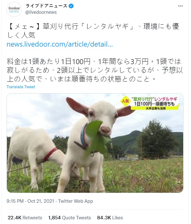 「山羊除草」的新聞被日本網友瘋狂在推特上轉發。(圖/翻攝自@livedoornews推特)