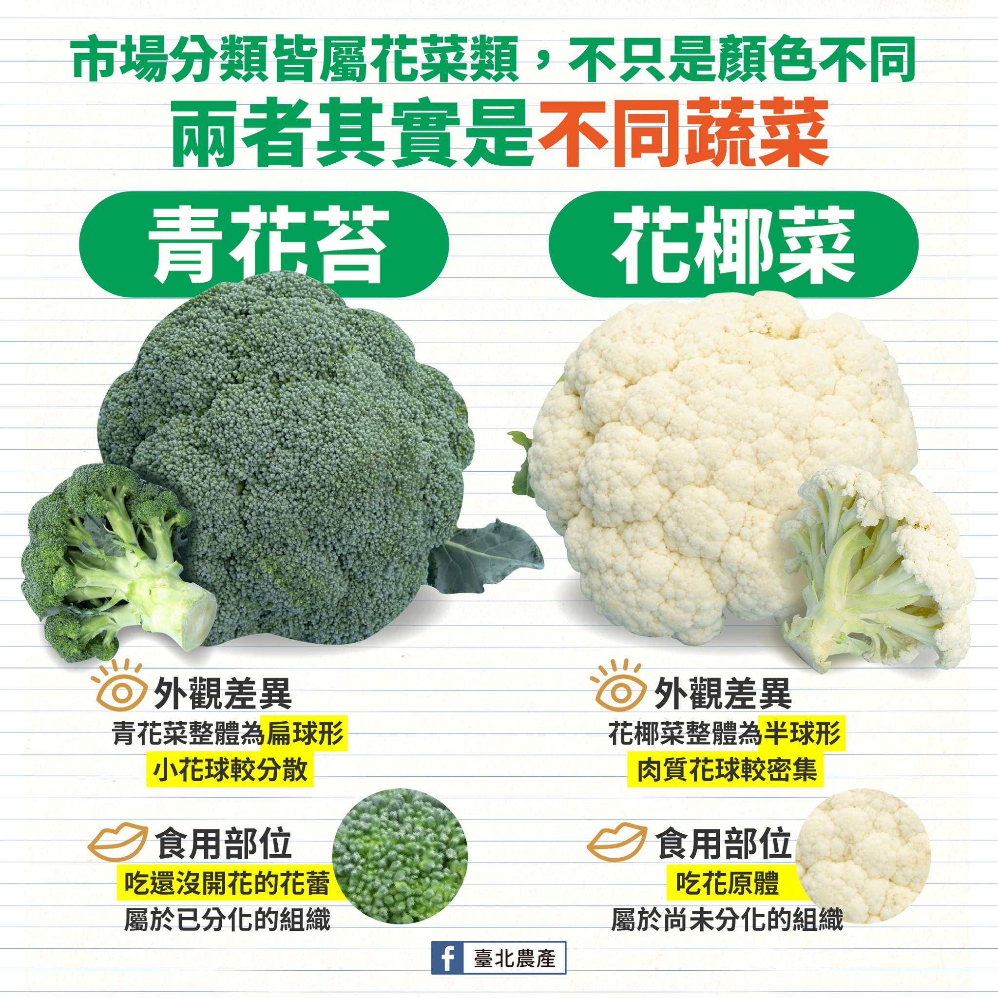 花椰菜與青花苔差異分析。(圖/翻攝自北農臉書)
