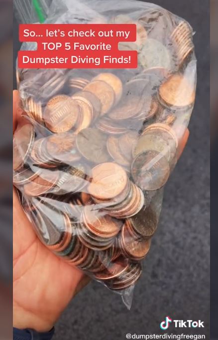 拾荒過程中還曾撿到錢。(圖/翻攝自dumpsterdivingfreegan TikTok)