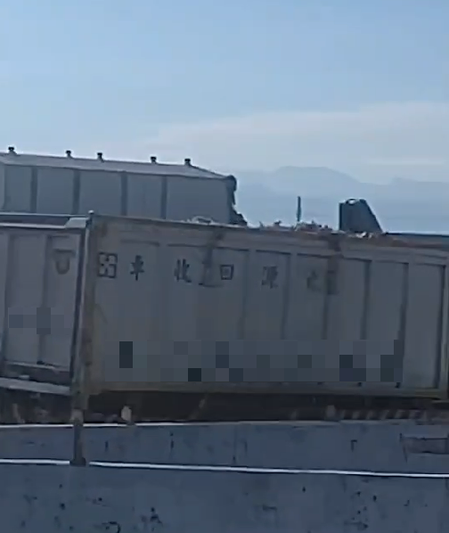 民眾跟拍資源回收車,發現車斗載滿死豬,憂疫病傳染。(圖/民眾提供)