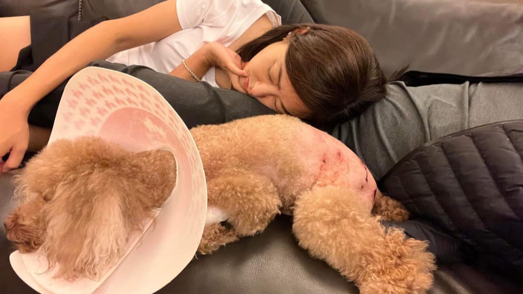 賈永婕決定向飼主究責。（圖／翻攝自賈永婕臉書）